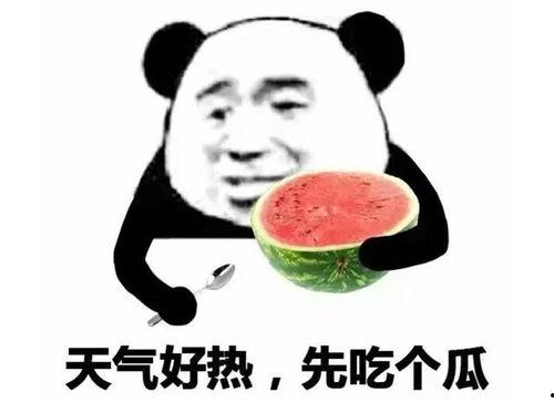 吃瓜表情怎么回复